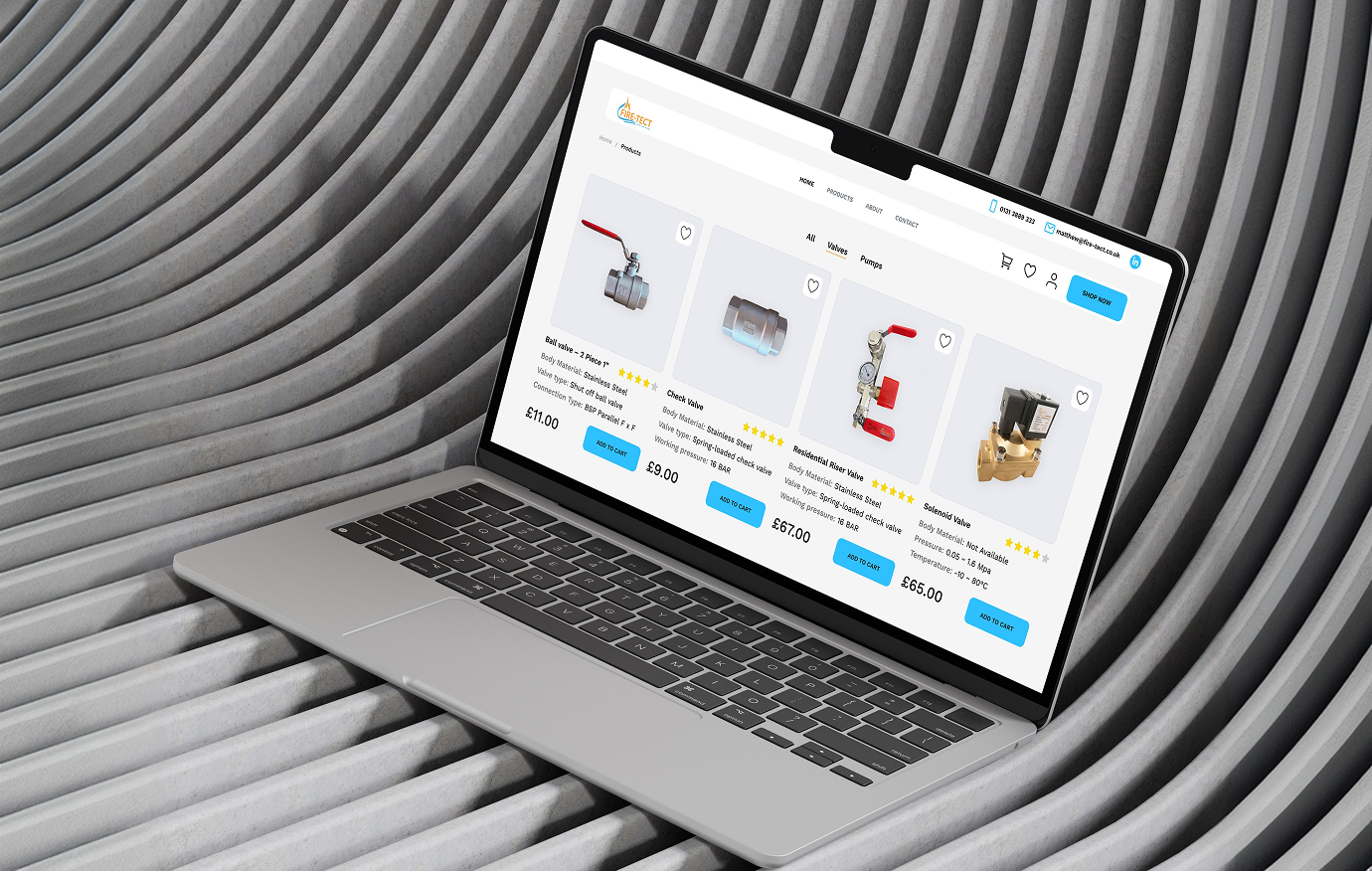 Website Development